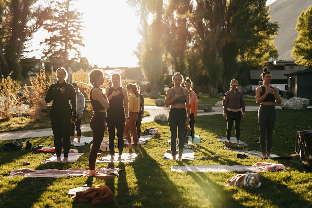 Wellness Feature